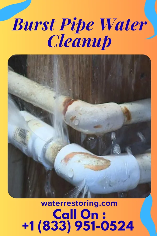 Burst Pipe Water Cleanup in Durand, MI