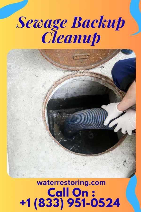 Sewage Backup Cleanup in Durand, MI