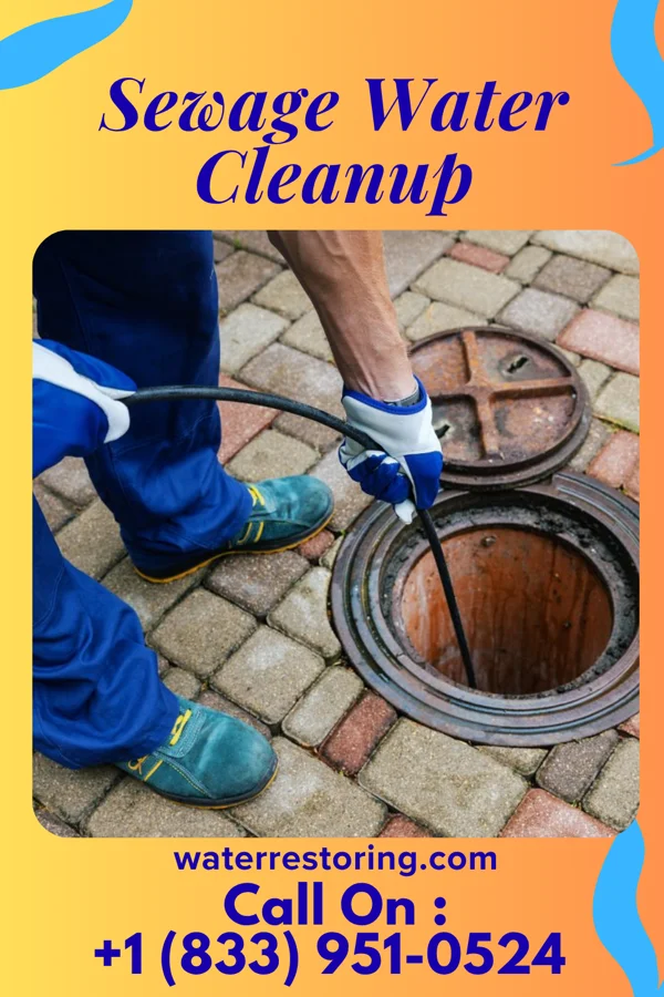 Sewage Water Cleanup in Durand, MI