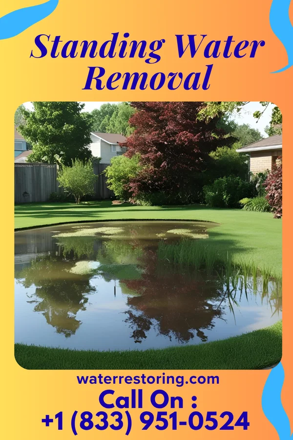 Standing Water Removal in Durand, MI